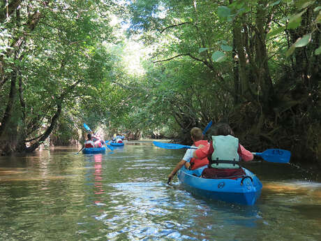 Les P'tits Bateaux Arboucave
