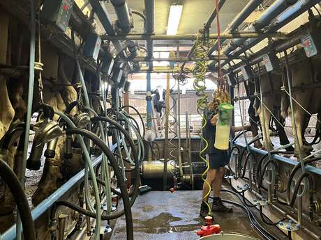 Visite laitière de la ferme de Montlebeau