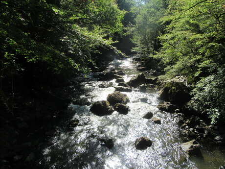 Pêcher sur l'Auvézère à Saint-Mesmin