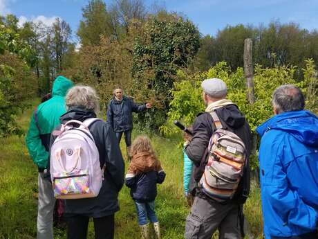 Ici, nos savoir-faire - Visite ludique du verger bio de Quinsac