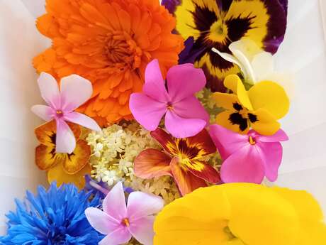 La Prairie de Mariposa