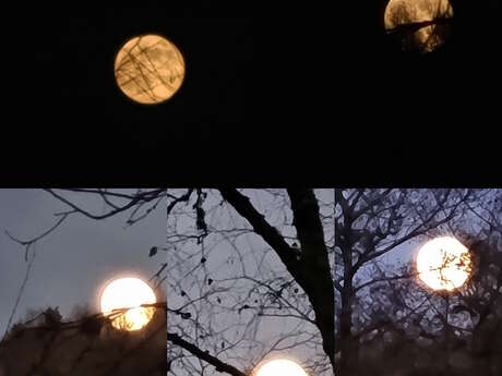 Soirée entre soleil et pleine lune