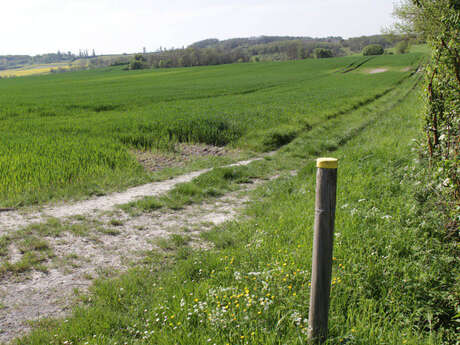 Pêcher à l'Etang Lescouroroux à Eymet - Boucle de Saint Julien d'Eymet