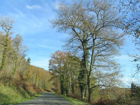 Circuit à vélo "Au Pays des Croquants"