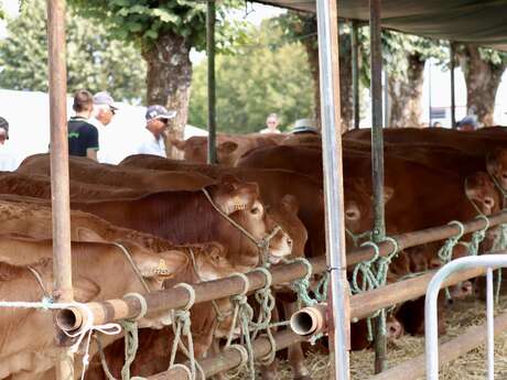 42e édition des Journées de la Viande Limousine et des savoir-faire locaux