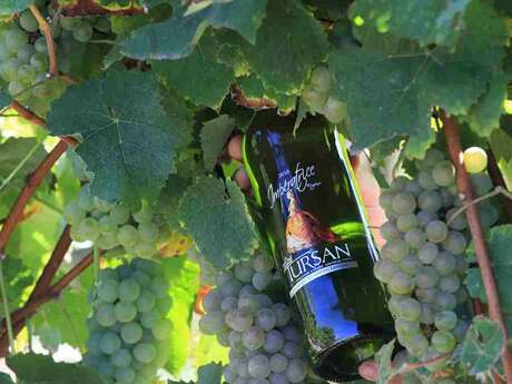 Cave "Deux fois Vin"