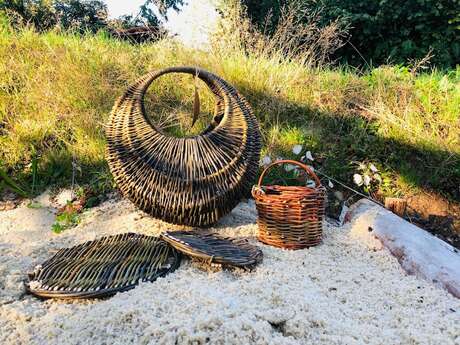 Atelier Saule Sister - Vannerie d’osier