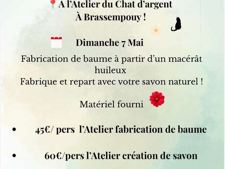Plantes Lumières et soins