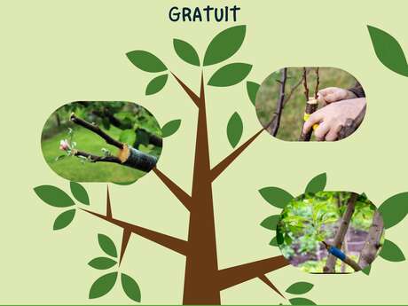 Initiation au greffage