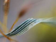 Exposition Aluna, photographies d'Isabelle Boucry  à l'Escalier