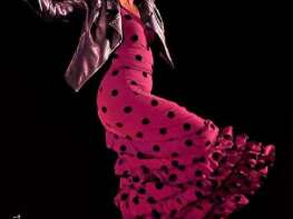 Spectacle Flamenco au Mathusalem