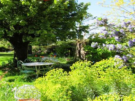 Jardin Fauves