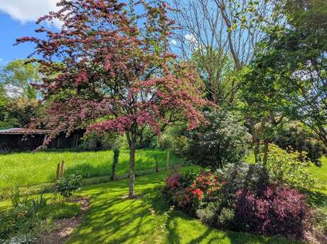 Visite du jardin de l'Emile au Foyer Rural