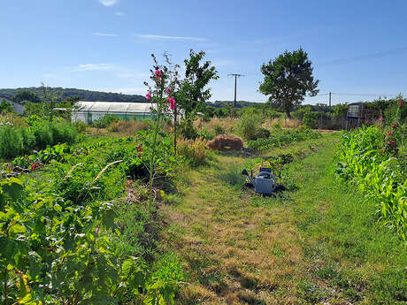 Démonstration de jardinage au naturel