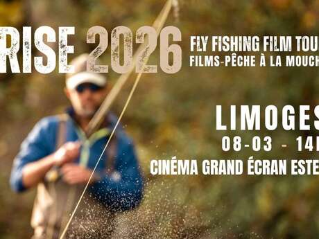 Projection du RISE Festival