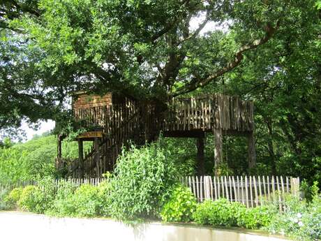 Cabane dans les arbres : la Papyjotte