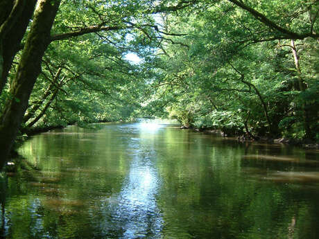 Parcours de pêche sur la Vienne de Saint Denis des Murs