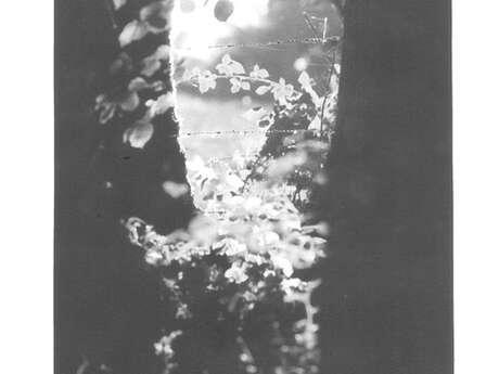 Lande interdite de Anne Isabelle Devillers