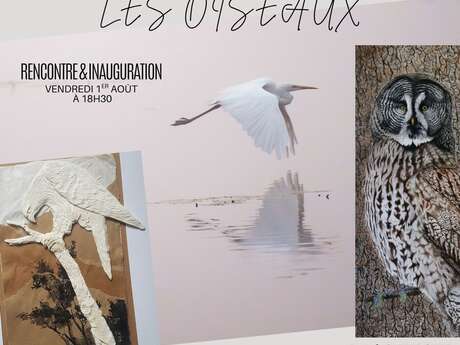 Exposition Les Oiseaux