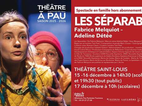 Théâtre à Pau - Les séparables (spectacle famille)