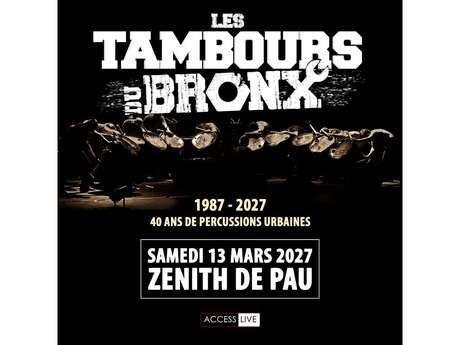 LES TAMBOURS DU BRONX
