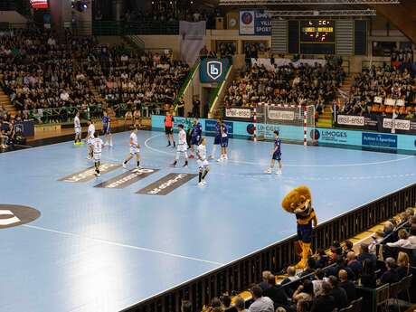 Match de handball Limoges / Chartres