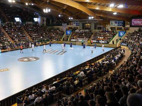 Match de handball Limoges / Cesson