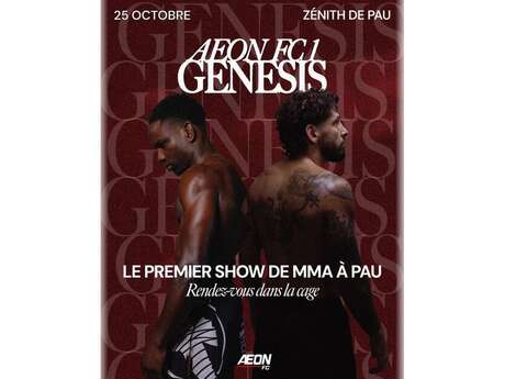 AEON FIGHTING CHAMPIONSHIP