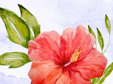 Atelier d'initiation aquarelle : fleurs et végétaux