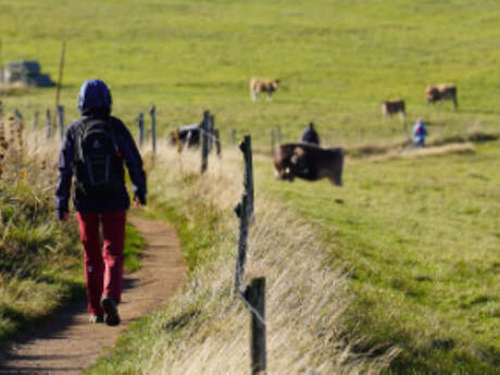 Téléthon Cantonal | Marche