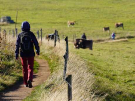 Téléthon Cantonal | Randonnée, animations et restauration Téléthon Cantonal | Randonnée, animations et restauration