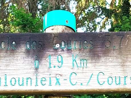 Boucle des Courtes