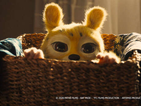 Cinéma : Marsupilami