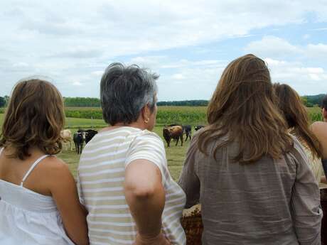 Visite de la ganaderia Maynus
