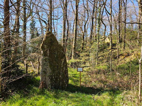 Menhir du Theil