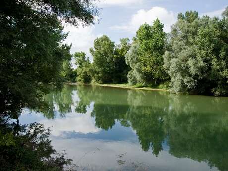 Sentier de l'Adour : de Laurède à Mugron