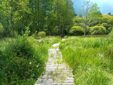 Fête de la Nature - Découverte du marais de Nieul