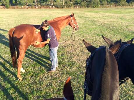 Camille TAUZIER? osteopathie animale