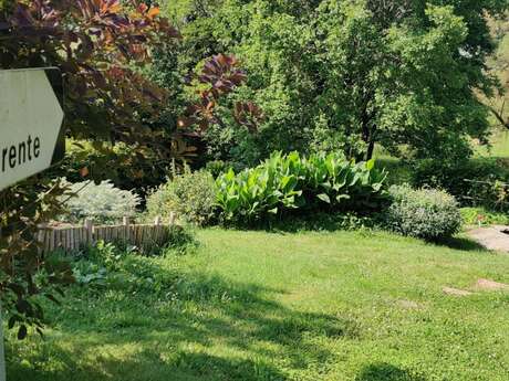 Source de la Charente
