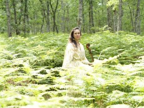 Nuits des forêts : Le silence de la forêt