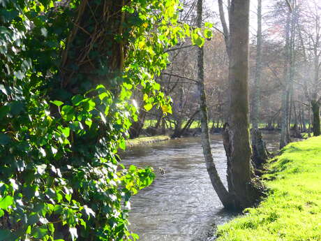 Histoire d'eau