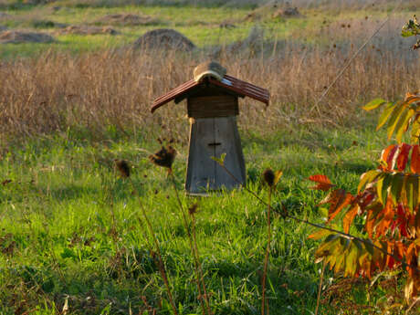 Petites Ruches