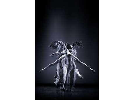 Espace Dantza - Danse "Peau à peau" & "Comme une bête sauvage"