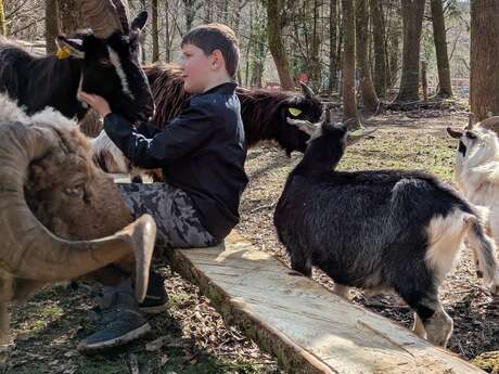 Atelier mini fermier