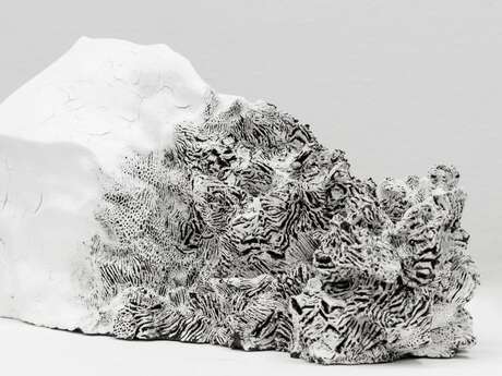 Visite-atelier adultes - De l’énergie des oeuvres à l’énergie du corps