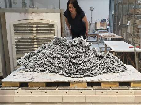 Visite thématique - Rencontre avec Anaïs Lelièvre