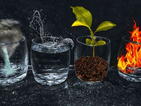 Mes premiers pas au musée - Dis-moi, c'est quoi les 4 éléments ?