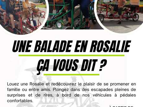 Locations de rosalies