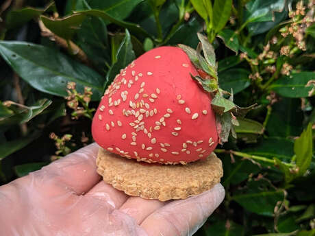 Pâtisserie Papilles