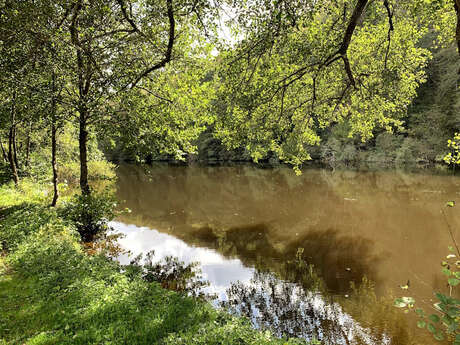 Parcours Pêche Carpe de nuit sur la Vienne à Saint-Léonard de Noblat